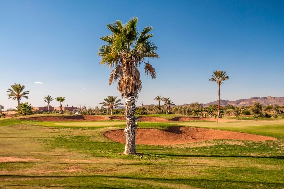 palmeraie marrakech