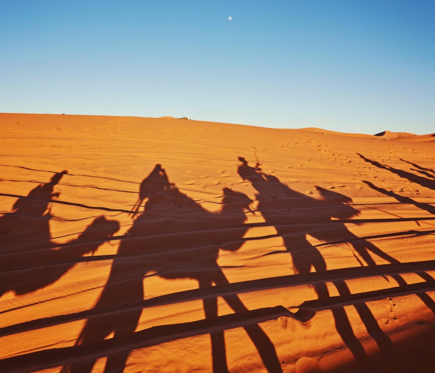 camel rides in marrakech